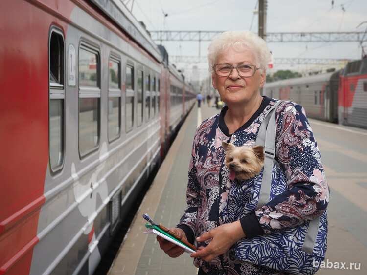 Подмосковные пенсионеры получат новую льготу на проезд по Москве