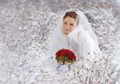 Идеи для зимней свадьбы